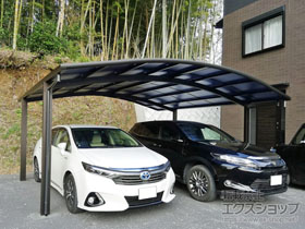 のカーポート レイナツインポートグラン　積雪〜20cm対応 施工例