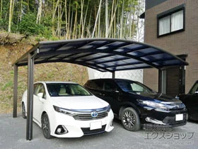 YKKAP�̃J�[�|�[�g ���C�i�c�C���|�[�g�O�����@�ϐ�`20cm�Ή� �{�H��