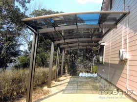 Value Select�̃J�[�|�[�g �v���V�I�X�|�[�g �c�A�� �ϐ�`20cm�Ή� �{�H��