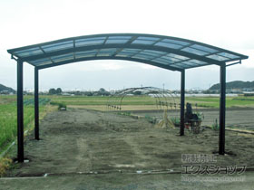 のカーポート レイナツインポートグラン　積雪〜20cm対応 施工例