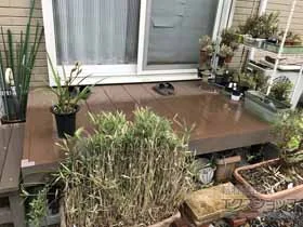 Value Select�̃E�b�h�f�b�L �}�[�W�E�b�h�f�b�L �{�H��