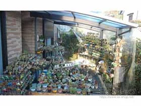 YKKAP�̃J�[�|�[�g ���C�i�|�[�g�O�����@�ϐ�`20cm�Ή� �{�H��