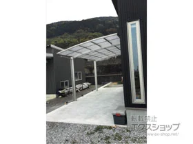 YKKAP�̃J�[�|�[�g ���C�i�|�[�g�O�����@�ϐ�`20cm�Ή� �{�H��