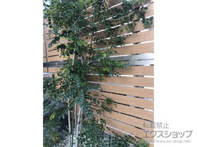 のフェンス・柵 セレビューフェンス RP3型 2段支柱（パネル2段） 施工例