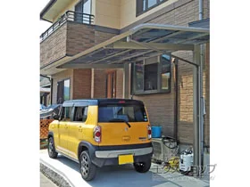 LIXIL NV(gXe)̃J[|[g K[i|[gVO}III ϐ`20cmΉ {H