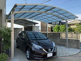 YKKAP�̃J�[�|�[�g ���C�i�c�C���|�[�g�O�����@�ϐ�`20cm�Ή� �{�H��