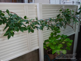 のフェンス・柵 ミエーネフェンス 目隠しルーバータイプ 2段支柱 自立建て用（パネル1段） 施工例