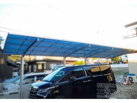 YKKAP�̃J�[�|�[�g ���C�i�|�[�g�O���� �c�A���@�ϐ�`20cm�Ή� �{�H��