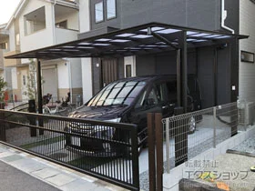 LIXIL(NV)̃J[|[g lXJF (tbgX^C) Ch ϐ`20cmΉ {H