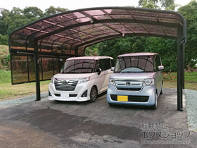 のカーポート レイナキャップツインポートグラン 積雪〜20cm対応 施工例