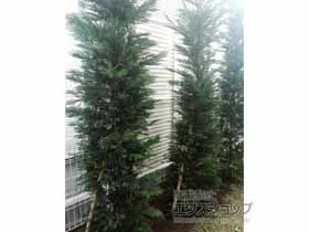 のフェンス・柵 ミエーネフェンス 目隠しルーバータイプ 2段支柱 自立建て用（パネル2段） 施工例