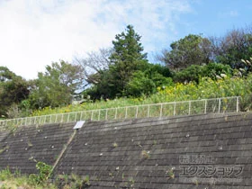 ϐ(ZLXC)̃tFXEE bVtFX G10-R R {H