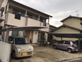 Value Select�̃J�[�|�[�g �v���V�I�X�|�[�g �ϐ�`20cm�Ή� �{�H��