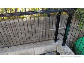 ϐ(ZLXC)̃tFXEE bVtFXG10-R@R^Cv@yazƃR[i[A@ {H