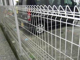 ϐ(ZLXC)̃tFXEE bVtFX G10-R R{H {H