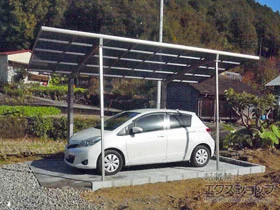 LIXIL(���N�V��)�̃J�[�|�[�g �l�X�JR (���E���h�X�^�C��) �ϐ�`20cm�Ή� �{�H��