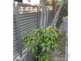 Value Select�̃t�F���X�E��E�� �~�G�[�l�t�F���X �ډB�����[�o�[�^�C�v ���R���{�H �{�H��