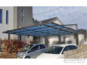 �O���A���~�̃J�[�|�[�g �_�u���t�F�[�X �ϐ�`20cm�Ή��{�T�|�[�g�Z�b�g �{�H��