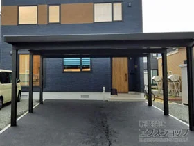 LIXIL ���N�V��(�g�X�e��)�̃J�[�|�[�g �e���I�X�|�[�gIII 4500 2��p �p��6�{��  �ϐ�`150cm�Ή� �{�H��