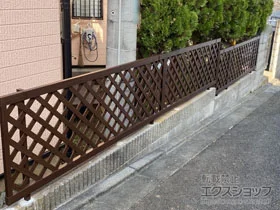 YKKAP̃tFXEE X^_[htFX2^ R{H {H