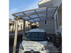 YKKAP�̃J�[�|�[�g ���C�i�|�[�g�O���� �����@�ϐ�`20cm�Ή� �{�H��