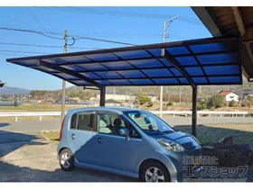 Value Select�̃J�[�|�[�g �v���V�I�X�|�[�g �ϐ�`20cm�Ή� �{�H��