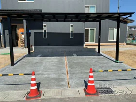 LIXIL(NV)̃J[|[g lXJF (tbgX^C) Ch ϐ`20cmΉ {H