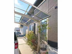 Value Select�̃J�[�|�[�g �v���V�I�X�|�[�g �ϐ�`20cm�Ή� �{�H��