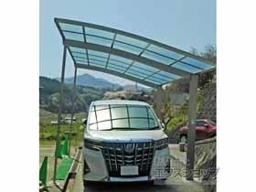 LIXIL(���N�V��)�̃J�[�|�[�g �l�X�JR (���E���h�X�^�C��) �ϐ�`20cm�Ή� �{�H��