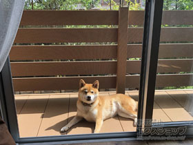 のウッドデッキ マージウッドデッキ 施工例