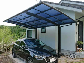 Value Select�̃J�[�|�[�g �v���V�I�X�|�[�g �ϐ�`20cm�Ή� �{�H��