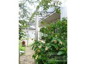 YKKAP̃eX \A R^ eX^Cv A ϐ`20cmΉ {H