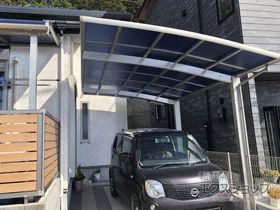 YKKAP�̃J�[�|�[�g ���C�i�|�[�g�O�����@�ϐ�`20cm�Ή� �{�H��