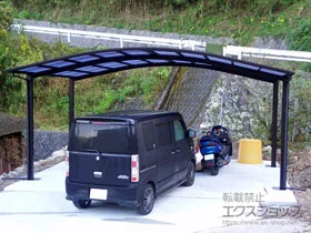 YKKAP�̃J�[�|�[�g ���C�i�c�C���|�[�g�O�����@�ϐ�`20cm�Ή� �{�H��