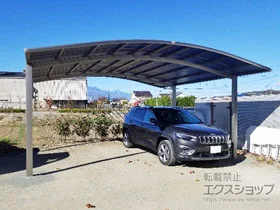 LIXIL(���N�V��)�̃J�[�|�[�g �l�X�JR (���E���h�X�^�C��) ���C�h �ϐ�`20cm�Ή� �{�H��