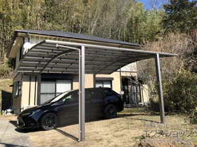 LIXIL(���N�V��)�̃J�[�|�[�g �l�X�JR (���E���h�X�^�C��) ���C�h �ϐ�`20cm�Ή� �{�H��