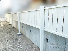 LIXIL(NV)̃tFXEE tFXAB TS2^ cXbg2 2ix(î) {H