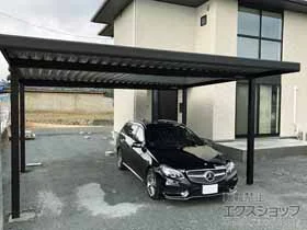 YKKAP�̃J�[�|�[�g ���I���|�[�gneo Smart 2��p �p��4�{��  �ϐ�`30cm�Ή� �{�H��