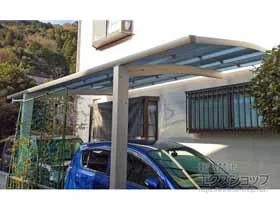 Value Select�̃J�[�|�[�g �v���V�I�X�|�[�g �ϐ�`20cm�Ή� �{�H��