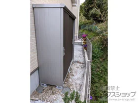 hRE̕u GX ʌ^ 1950~650~1959iESE-1906Aj ESE-1906A-DW {H