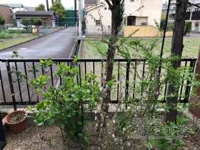 Value Selectのフェンス・柵・塀 ミエッタフェンス 防犯たて格子タイプ・自由柱施工 施工例