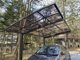 LIXIL(NV)̃J[|[g lXJR (EhX^C) ϐ`20cmΉ {H