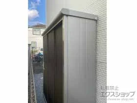 hRE̕uE[EOq GX ʌ^ 1797~520~1959iESE-1805Aj ESE-1805A-DW {H