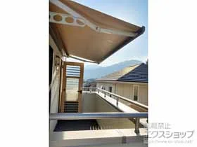 LIXIL NV(gXe)̃I[jOETVF[hE悯 ʕ ₩ C^ 蓮 {H