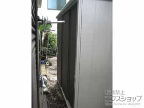 hRE̕uE[EOq GX ʌ^ 1950~900~1959 ESE-1909A-DW {H