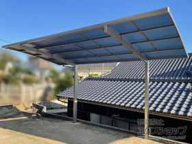 LIXIL(���N�V��)�̃J�[�|�[�g �l�X�JR (���E���h�X�^�C��) �ϐ�`20cm�Ή� �{�H��