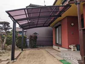 YKKAP�̃J�[�|�[�g �A�����[�X�@�ϐ�`20cm�Ή� �{�H��