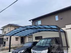 YKKAP�̃J�[�|�[�g �A�����[�X �g���v���@�ϐ�`20cm�Ή� �{�H��