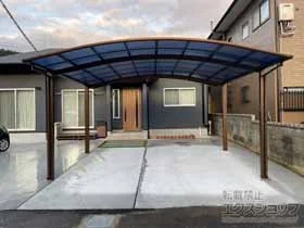 YKKAP�̃J�[�|�[�g �A�����[�X �c�C���@�ϐ�`20cm�Ή� �{�H��