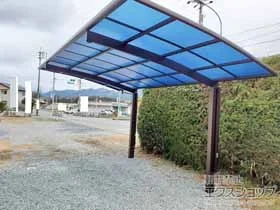 YKKAP�̃J�[�|�[�g �A�����[�X�@�ϐ�`20cm�Ή��{���E���T�|�[�g�� �{�H��